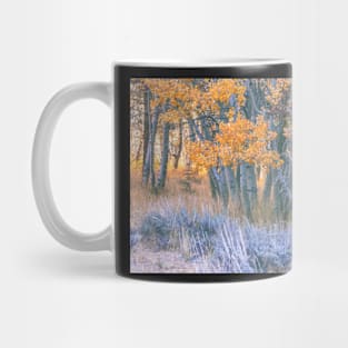 Autumn Aspens Mug